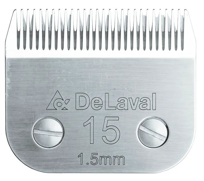 bonnet-1491795