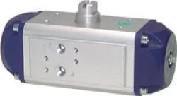 esska-1489694