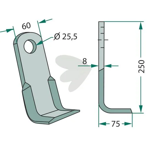 sagro1-1558201