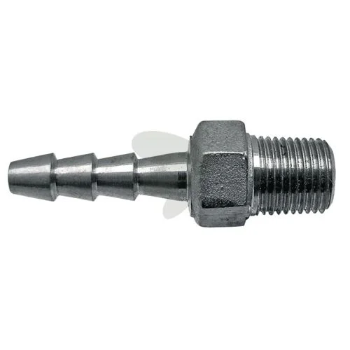 sagro1-1563964