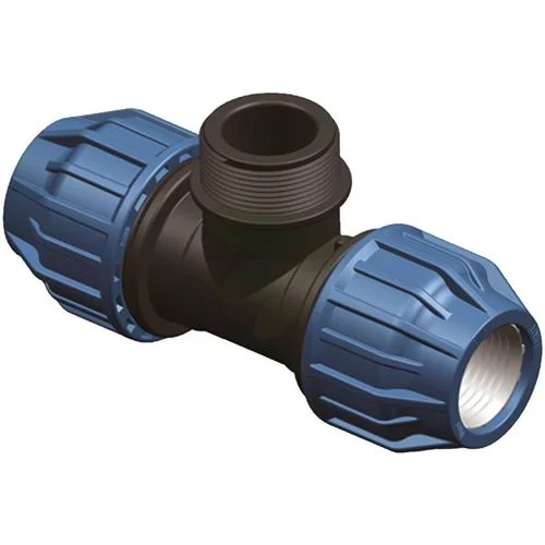 sagro1-1565640