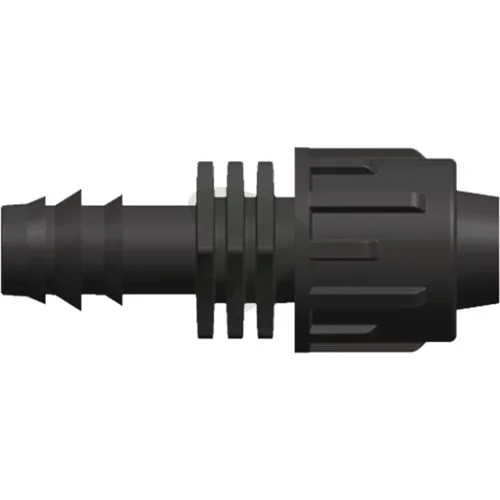 sagro1-1566002