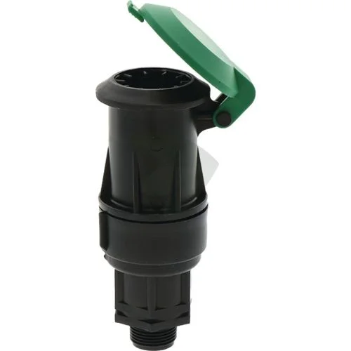 sagro1-1566200