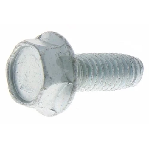 sagro1-1595060