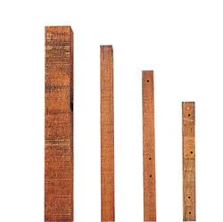 sagro1-1604950